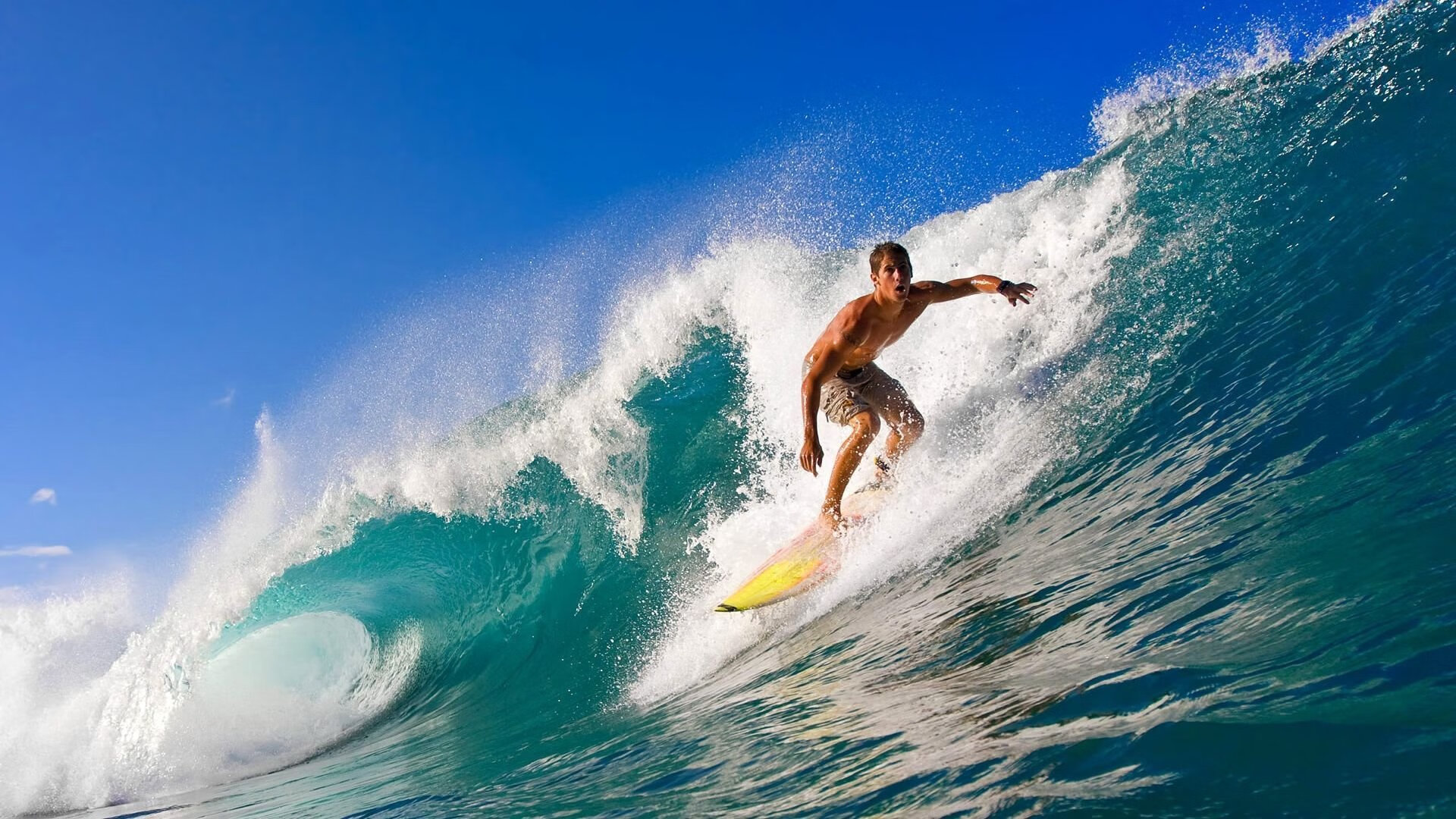 体育赛事数字化管理逐渐普及